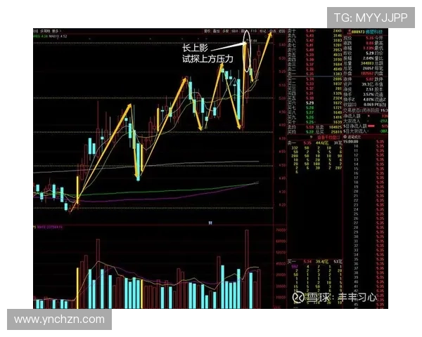 杭州羽毛球队与重庆羽毛球队赛后复盘分析比赛节奏与战术对比 杭州羽毛球队与重庆羽毛球队赛后复盘分析比赛节奏与战术对比