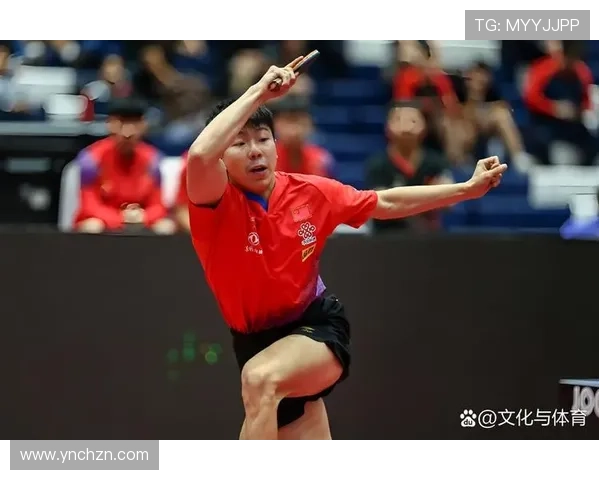 武汉乒乓球队个人能力分析与发展策略探讨 武汉乒乓球队个人能力分析与发展策略探讨