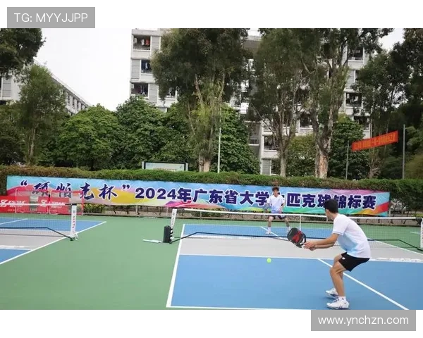 深圳羽毛球队战术解析与控制体系的深度剖析与应用探讨