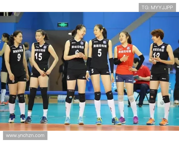 杭州排球队在世界杯中的速度表现引发热议与期待